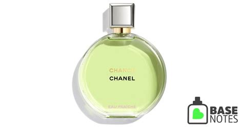 chanel 19 basenotes|chanel eau de parfum.